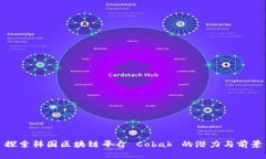 探索韩国区块链平台 Cobak 的潜力与前景