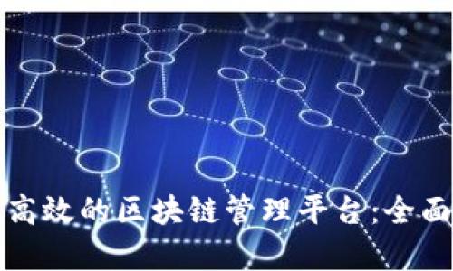 如何构建高效的区块链管理平台：全面方案解析