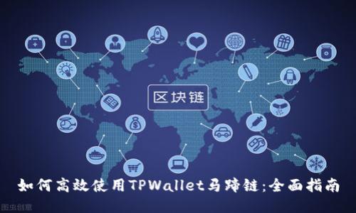 如何高效使用TPWallet马蹄链：全面指南